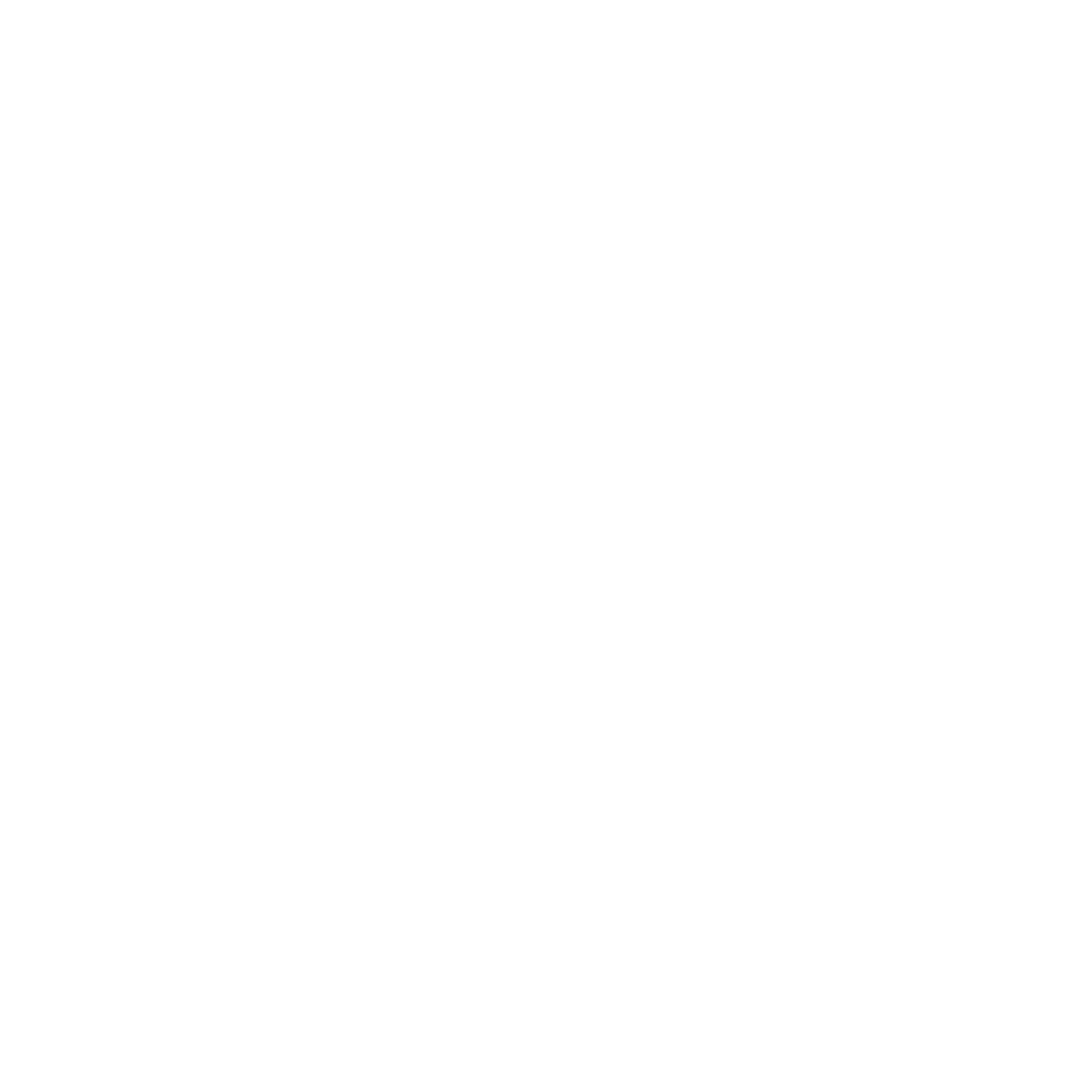 Made in the USA badge icon